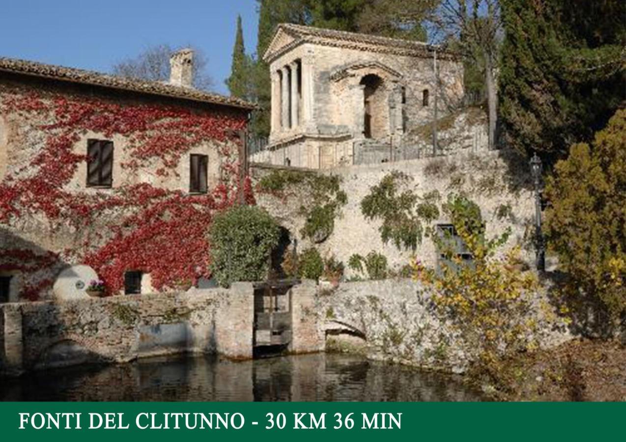 Agriturismo Sant'Angelo Holiday Farm Гуальдо-Каттанео Экстерьер фото