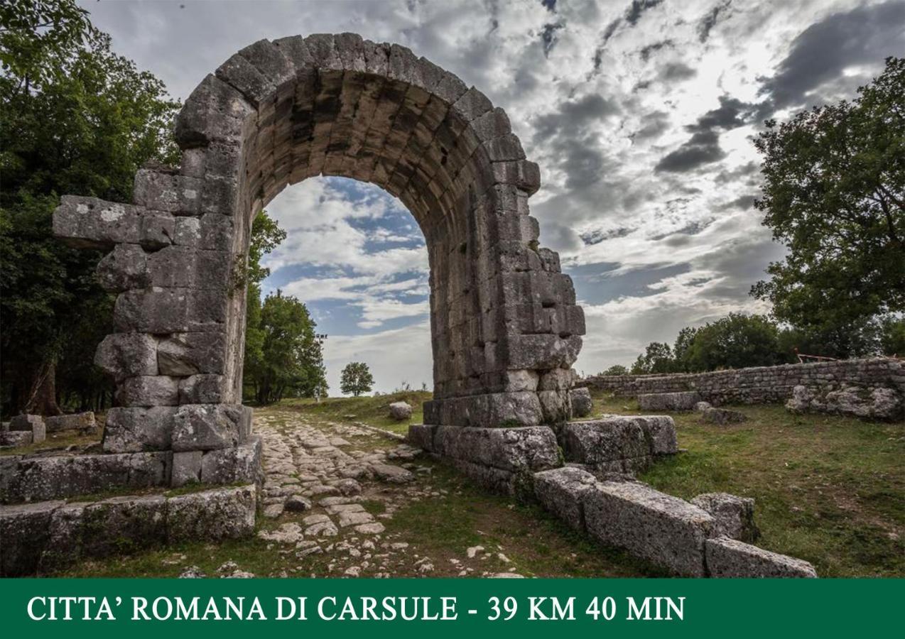 Agriturismo Sant'Angelo Holiday Farm Гуальдо-Каттанео Экстерьер фото